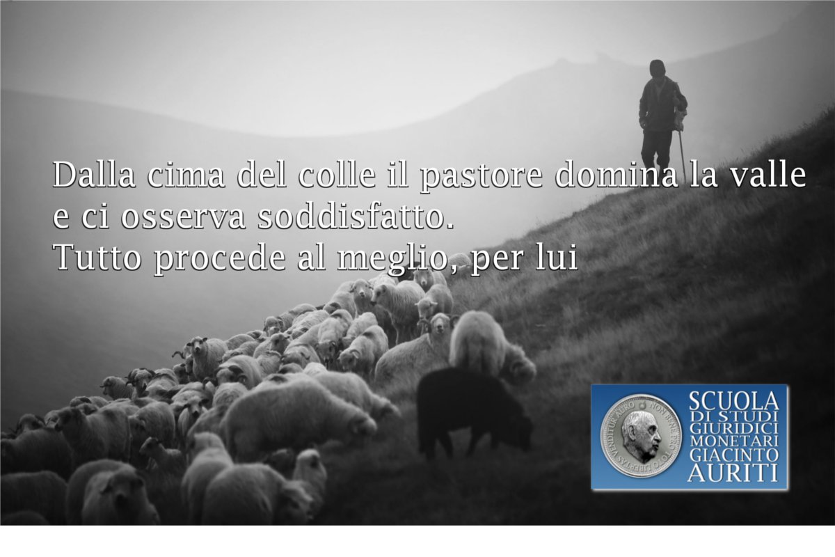 Pecore pastore